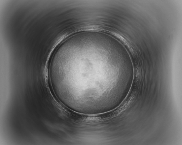 X0000096981466200802081358