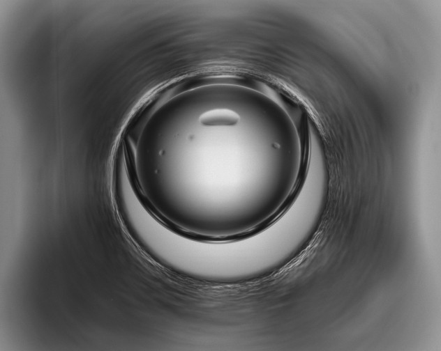 X0000096981467200802081358