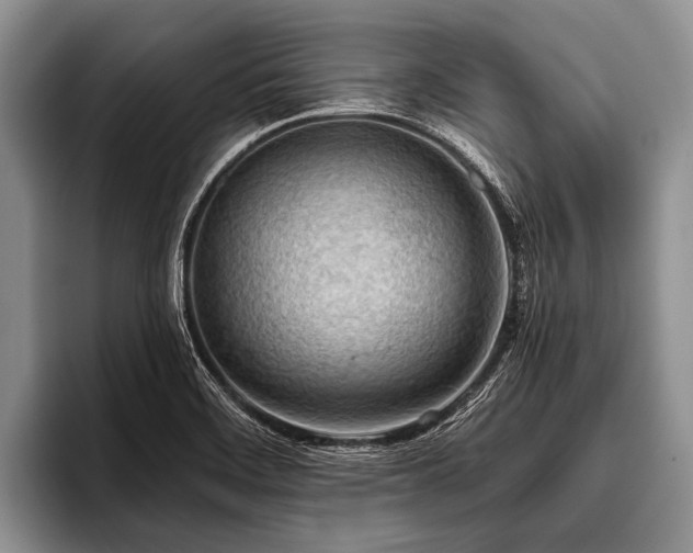 X0000096981468200802081357