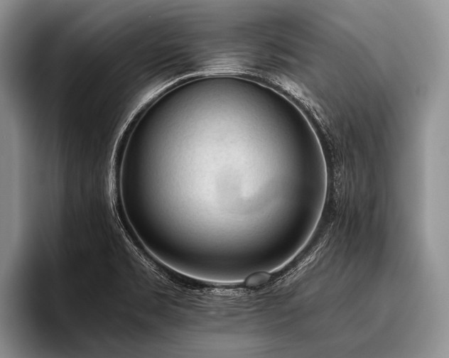 X0000096981469200802081357