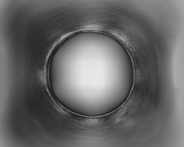 X0000096981470200802081357