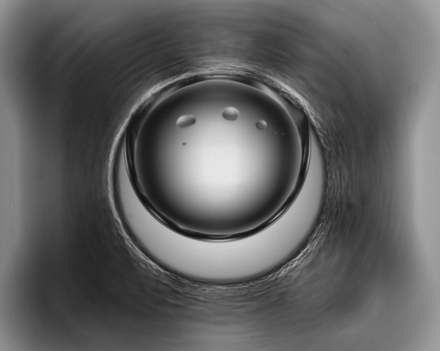 X0000096981471200802081357