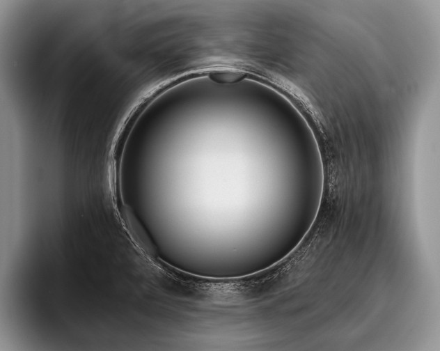 X0000096981472200802081357