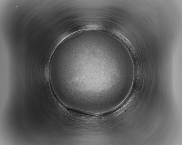 X0000096981473200802081357