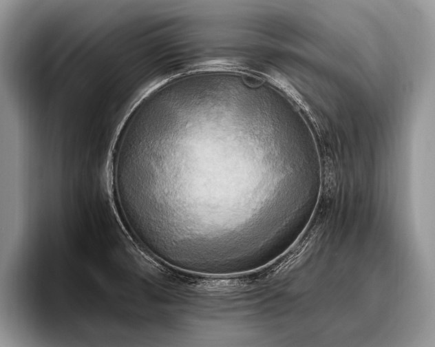 X0000096981474200802081357