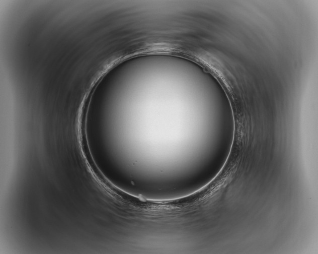 X0000096981475200802081357