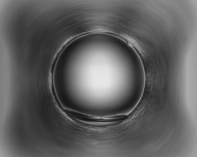 X0000096981476200802081357