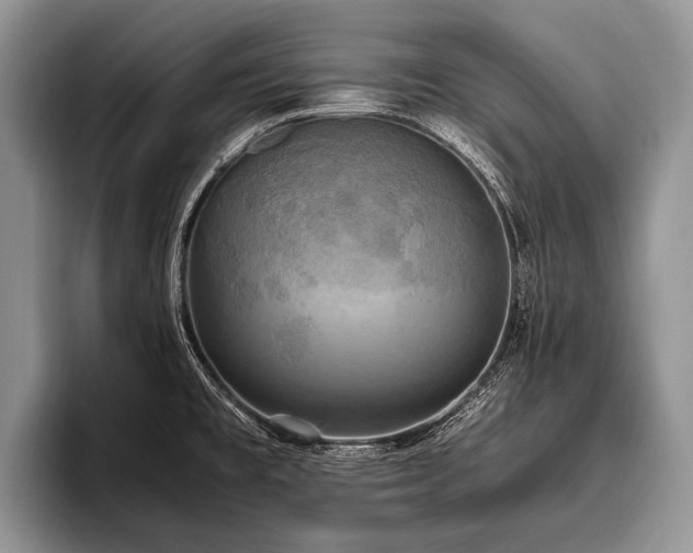 X0000096981477200802081357