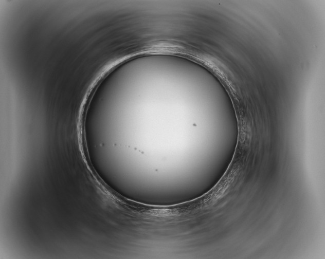 X0000096981478200802081357