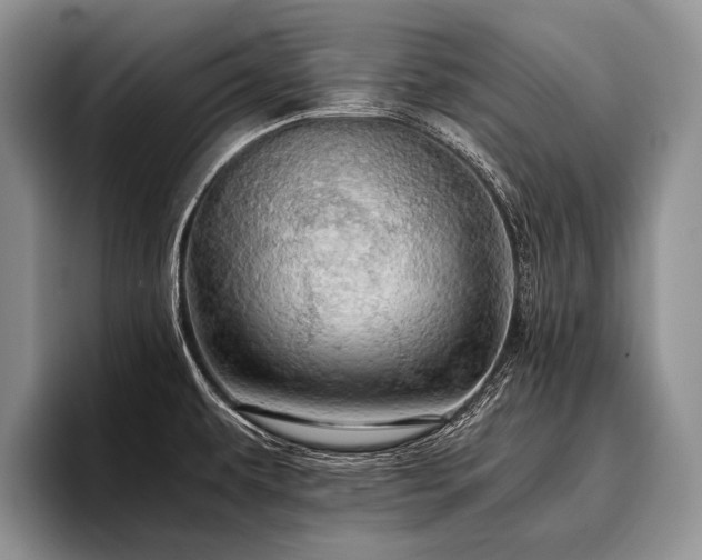 X0000096981479200802081357