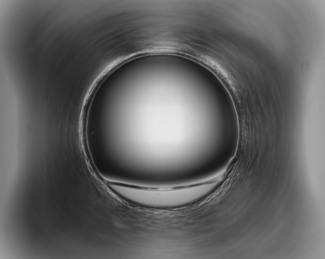 X0000096981480200802081357