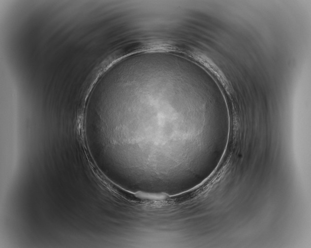 X0000096981481200802081357