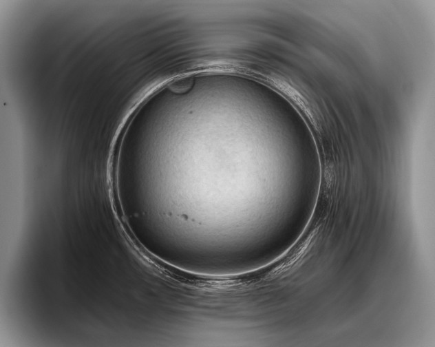 X0000096981482200802081357