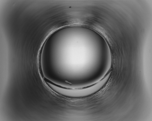 X0000096981483200802081357