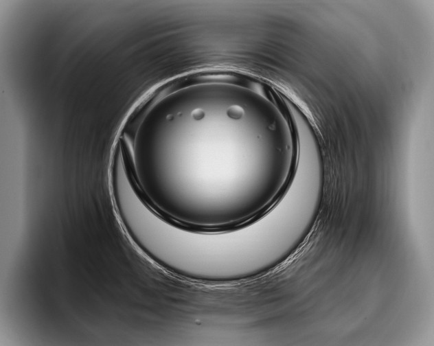 X0000096981484200802081357