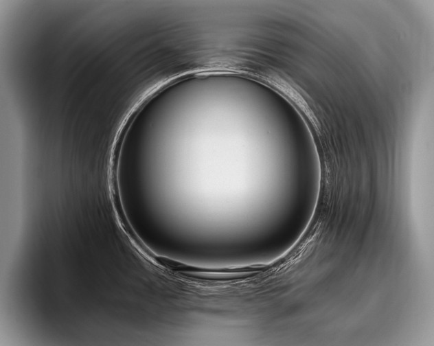 X0000096981485200802081357