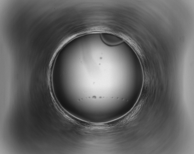 X0000096981486200802081357