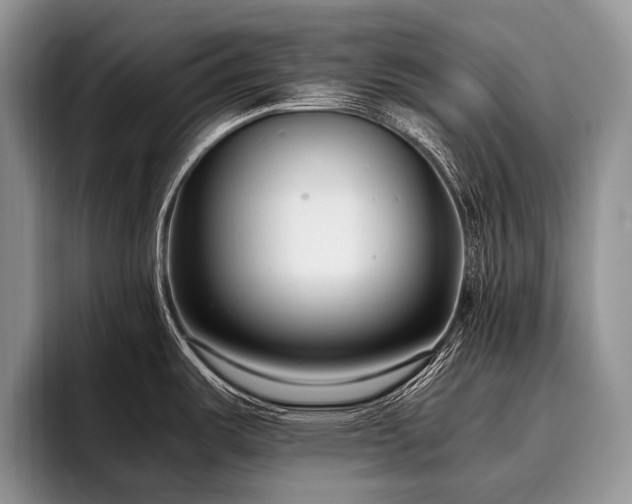 X0000096981487200802081357