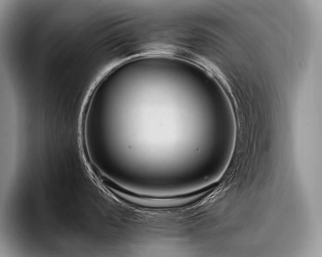 X0000096981488200802081357