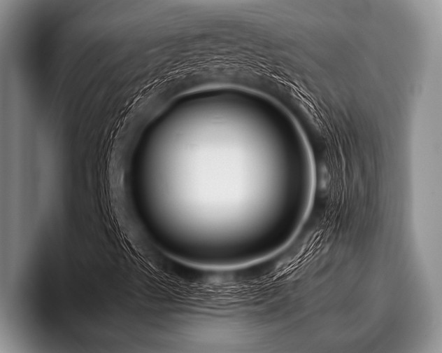 X0000096981489200802081357