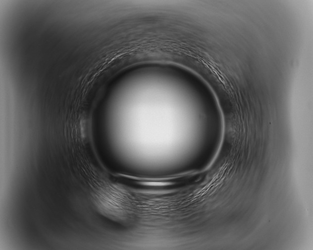 X0000096981490200802081357