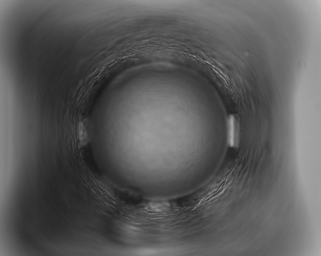 X0000096981491200802081357