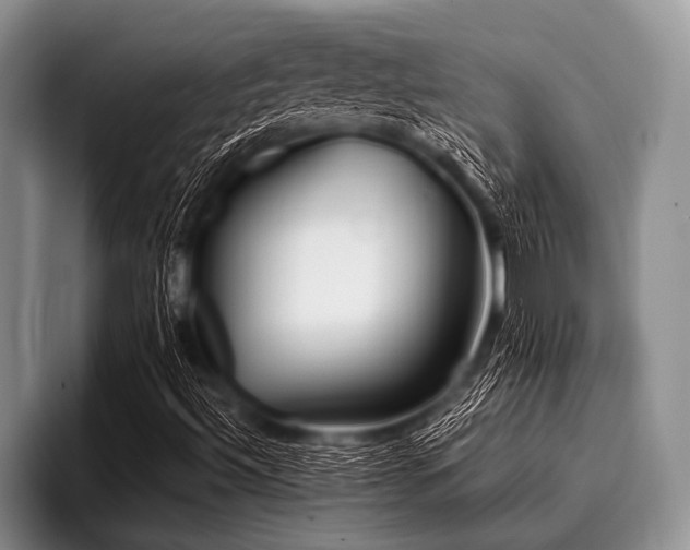 X0000096981492200802081357