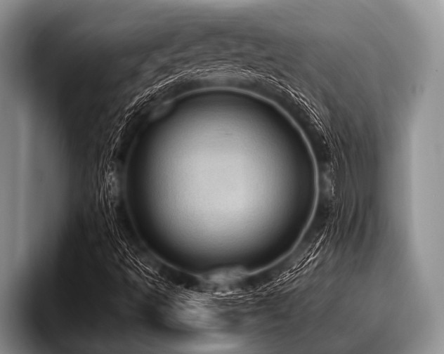 X0000096981493200802081357