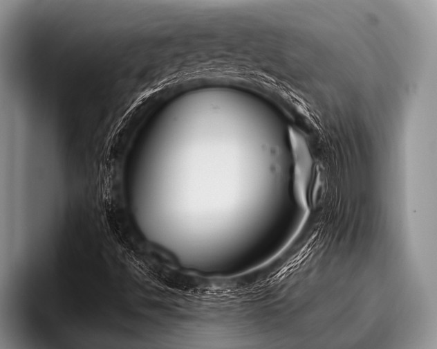 X0000096981494200802081357