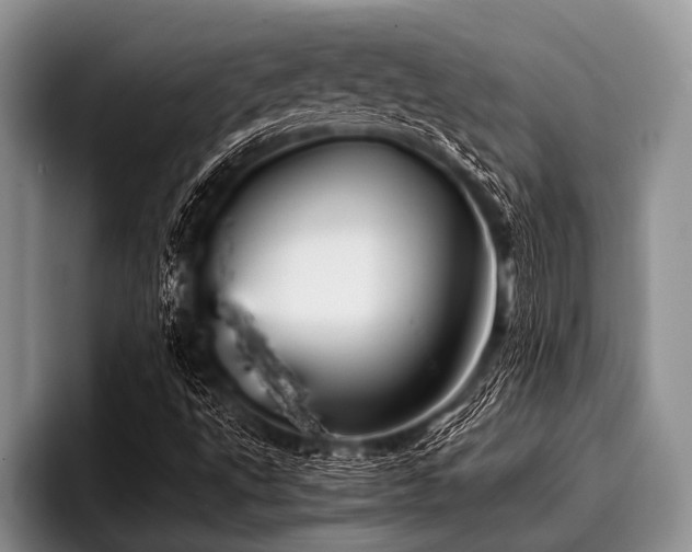 X0000096981495200802081357