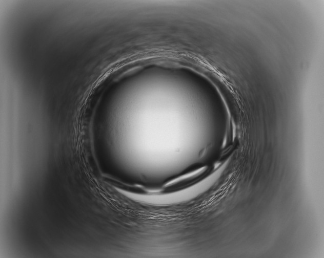 X0000096981496200802081357