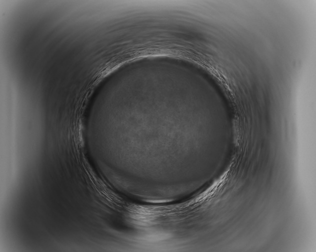 X0000096981497200802081357