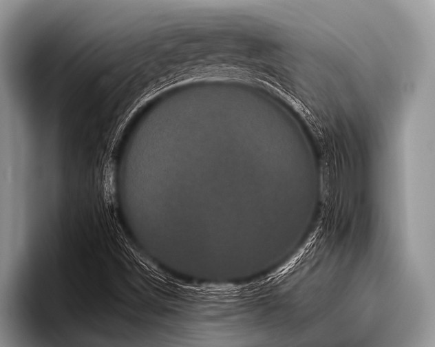 X0000096981498200802081357