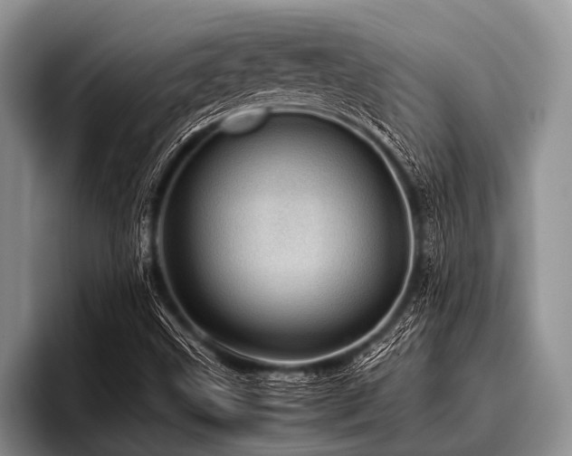 X0000096981499200802081357