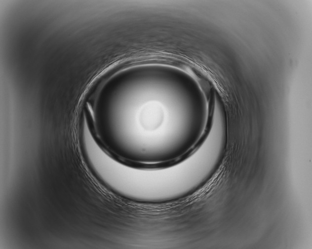 X0000096981500200802081357