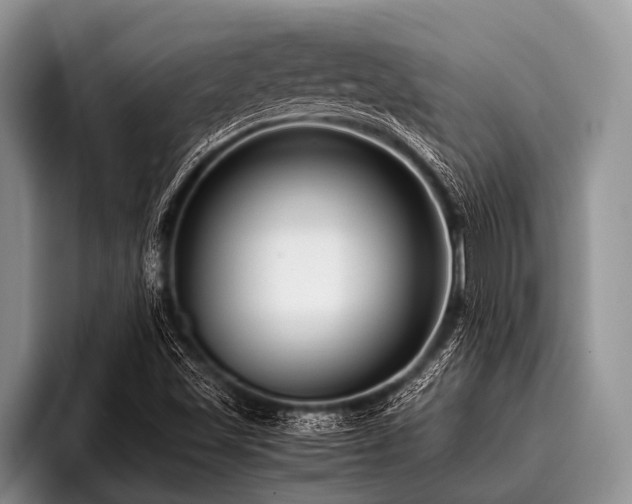 X0000096981501200802081357