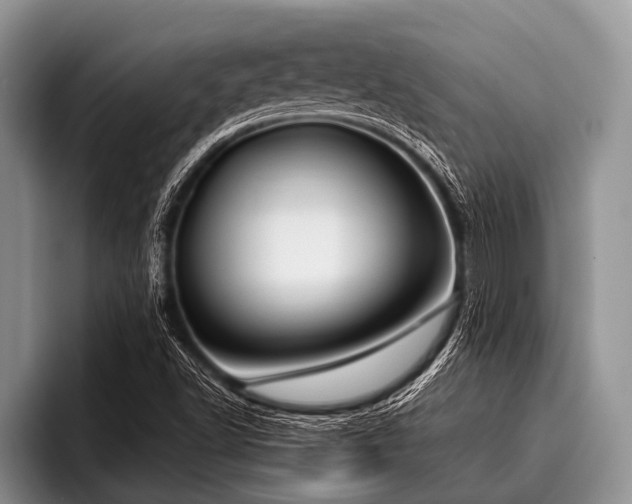 X0000096981502200802081357