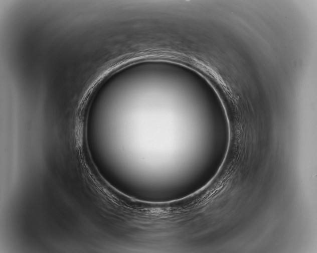 X0000096981504200802081357