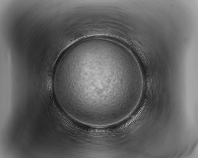 X0000096981505200802081357