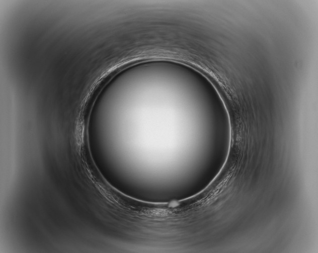 X0000096981507200802081357