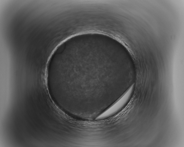 X0000096981508200802081357