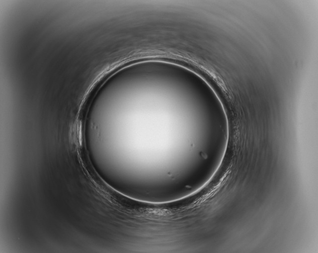 X0000096981509200802081357