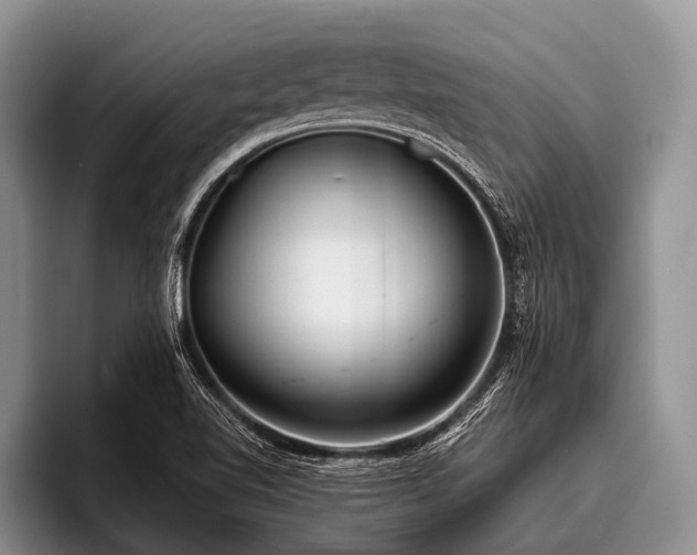 X0000096981510200802081357