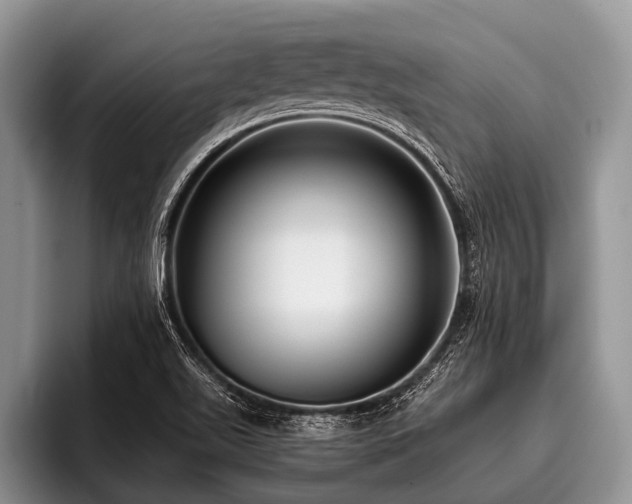 X0000096981511200802081357