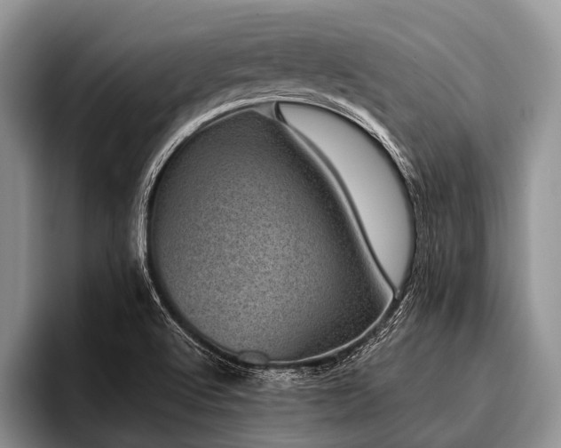 X0000096981512200802081357