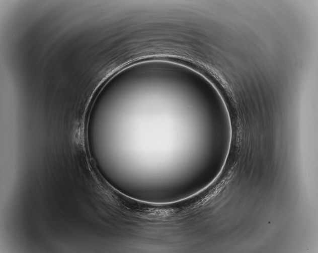 X0000096981513200802081357