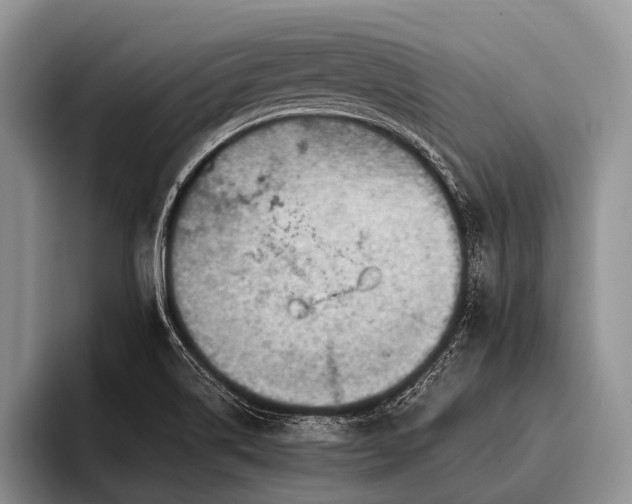 X0000096981514200802081357