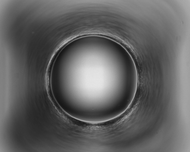 X0000096981517200802081357