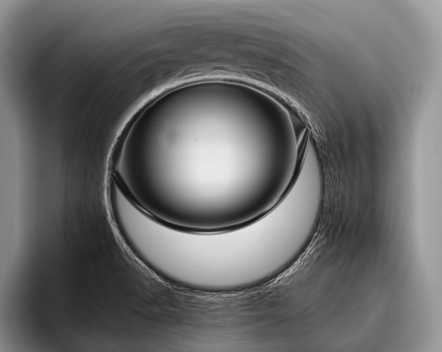 X0000096981518200802081357