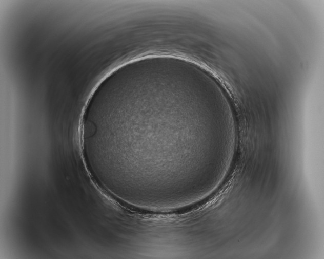 X0000096981519200802081357